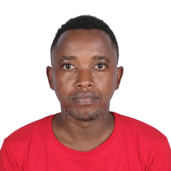 Accommodation Booking Assistant