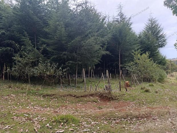 20 Acres of Agricultural Land for Sale