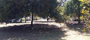 Juja Gatundu Road 1 Acre - thumbnail 2