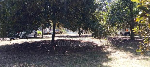 Juja Gatundu Road 1 Acre - main view