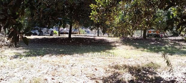 Juja Gatundu Road 1 Acre - thumbnail 3