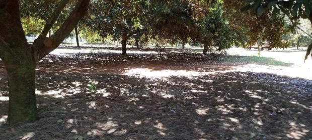 Juja Gatundu Road 1 Acre - thumbnail 5