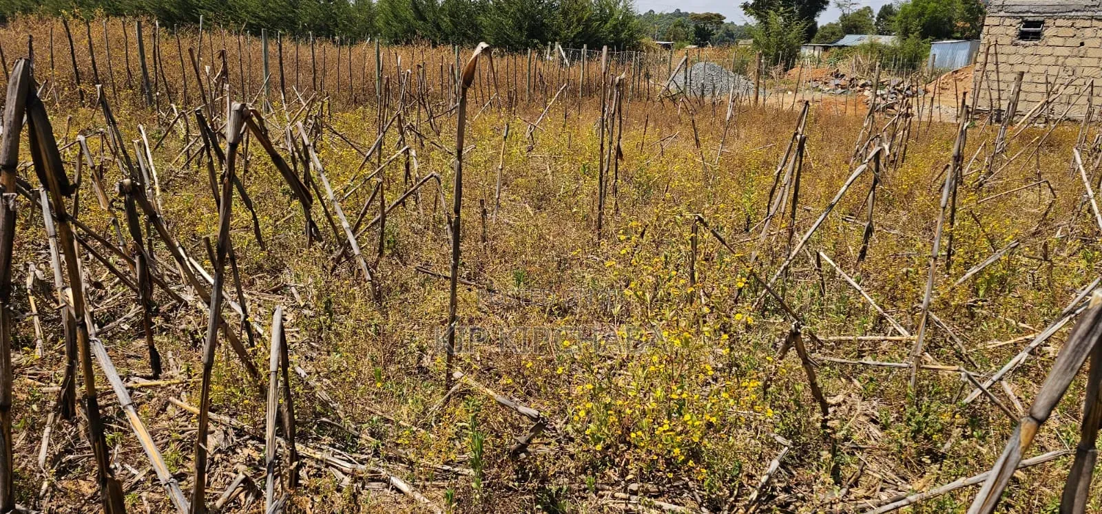 Plot for Sale in Illula Eldoret Behind Shopping Centre