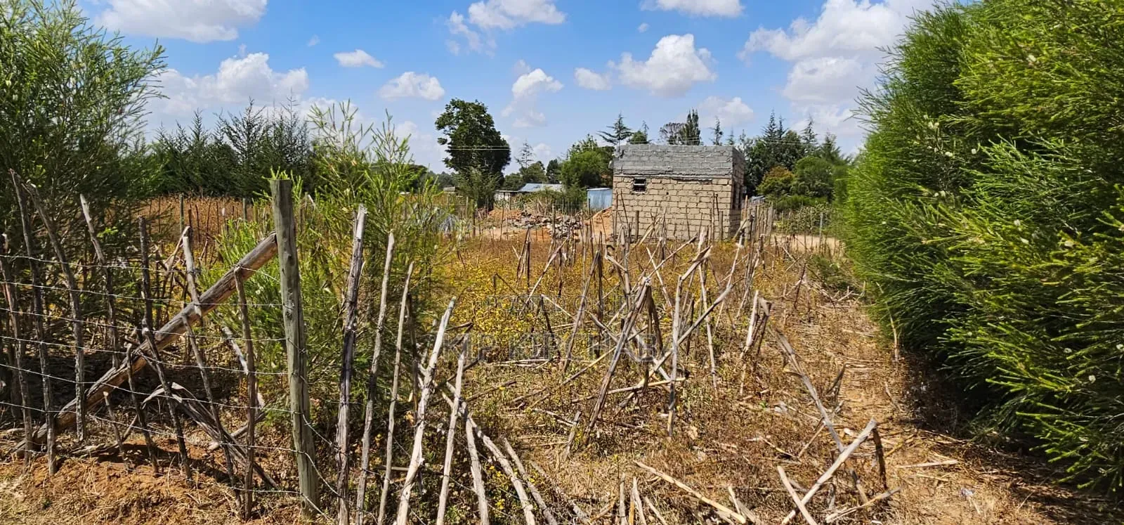 Plot for Sale in Illula Eldoret Behind Shopping Centre