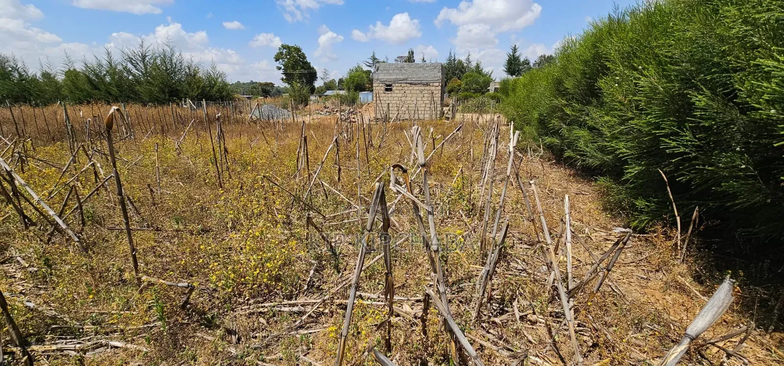 Plot for Sale in Illula Eldoret Behind Shopping Centre
