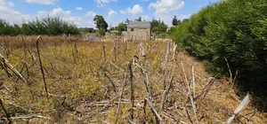Plot for Sale in Illula Eldoret Behind Shopping Centre