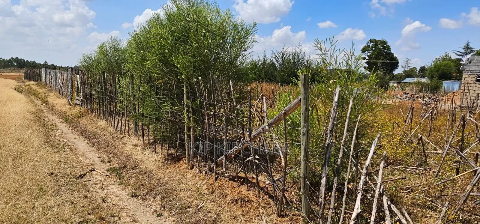 Plot for Sale in Illula Eldoret Behind Shopping Centre