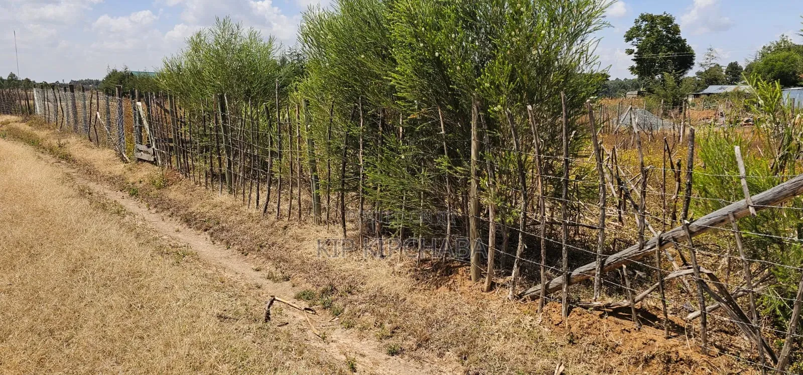 Plot for Sale in Illula Eldoret Behind Shopping Centre