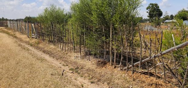 Plot for Sale in Illula Eldoret Behind Shopping Centre - thumbnail 8