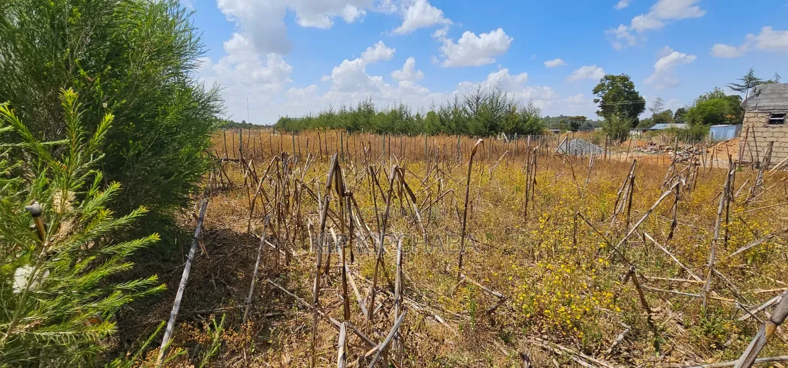 Plot for Sale in Illula Eldoret Behind Shopping Centre