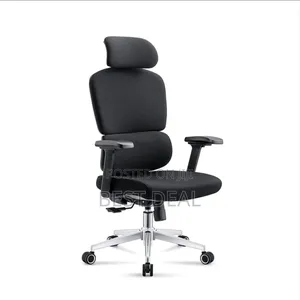Ergonomic Chair With Double Adjustable Backrest