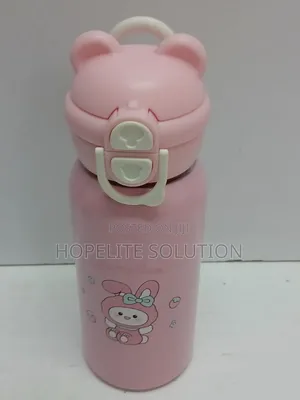 Stainless Steel Insulated Bottle + Straw