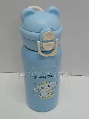 Stainless Steel Insulated Bottle + Straw