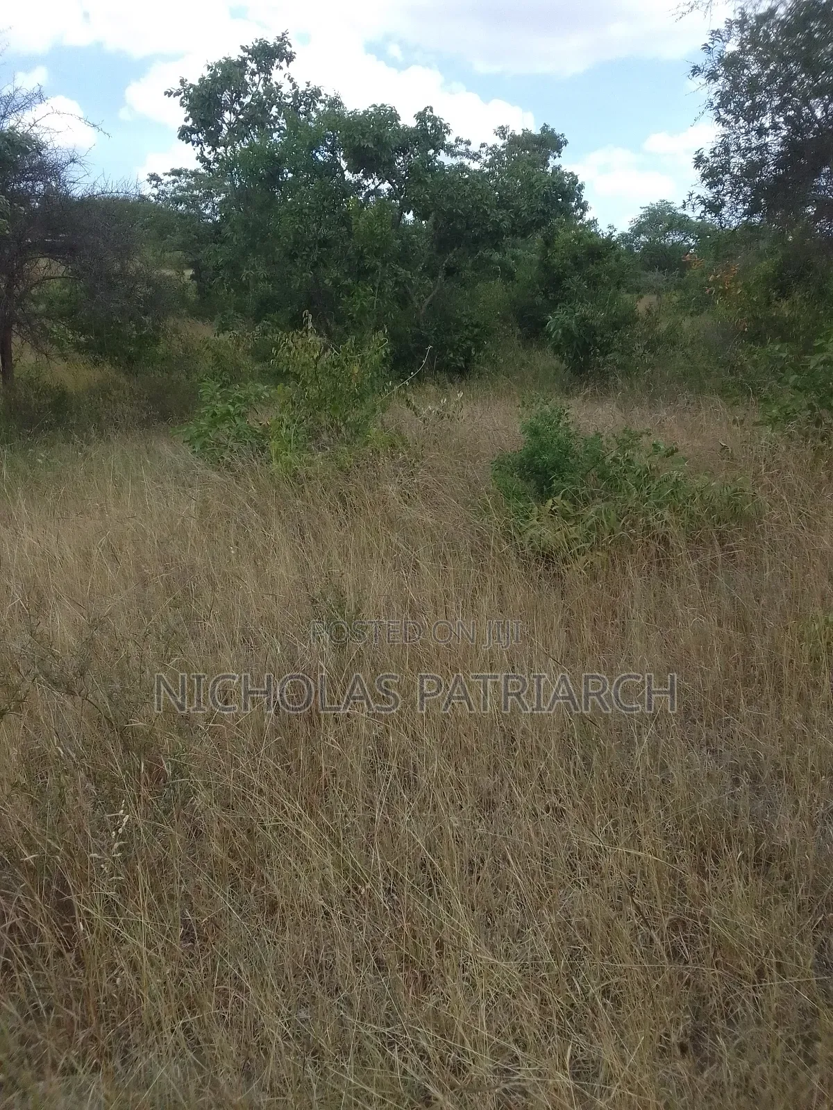 3 Acres Masii -Machakos County Selling at 1 5m Per Acre