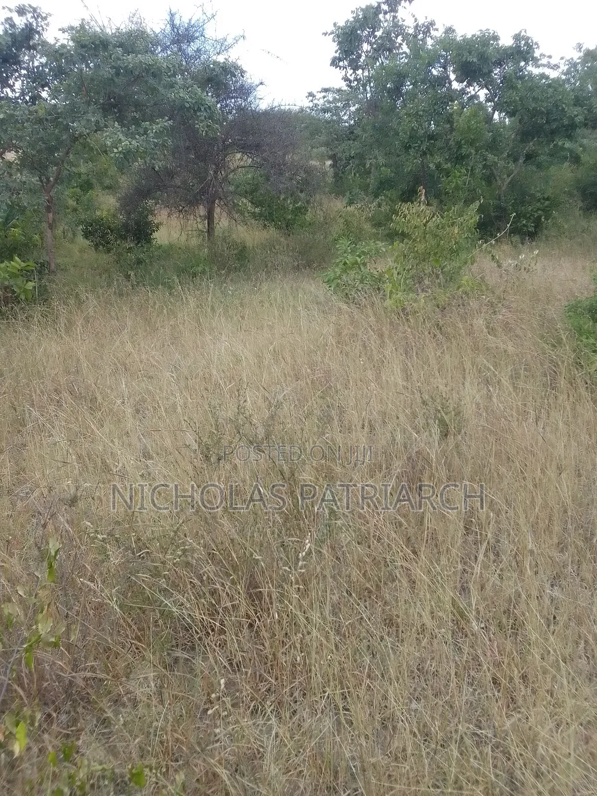 3 Acres Masii -Machakos County Selling at 1 5m Per Acre