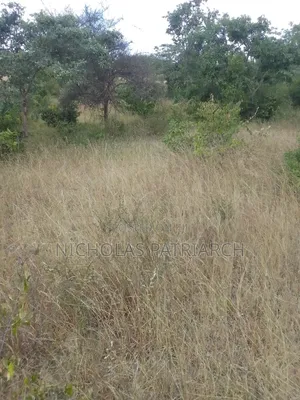 3 Acres Masii -Machakos County Selling at 1 5m Per Acre
