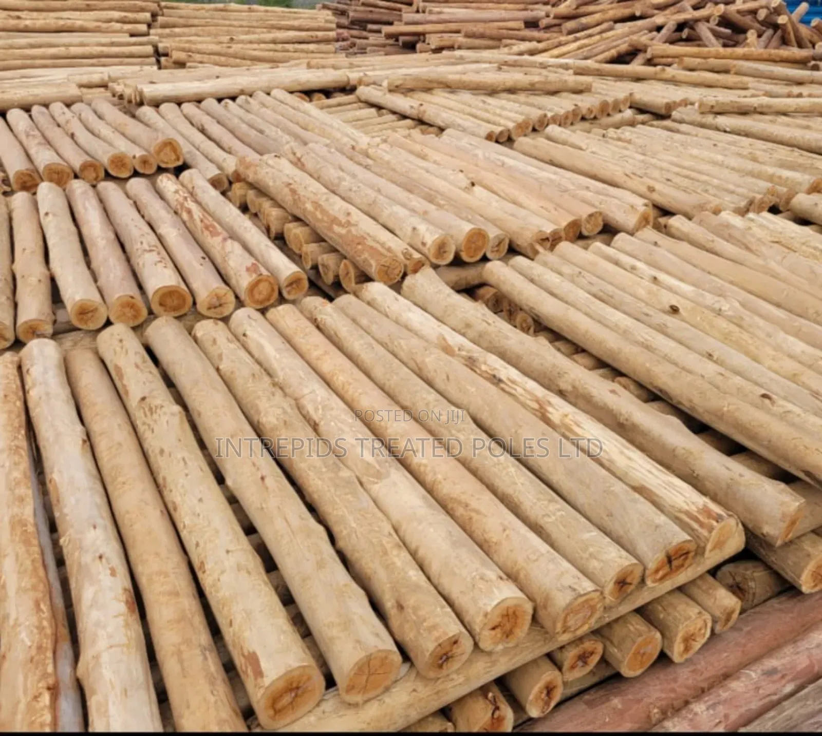 Quality Treated Poles