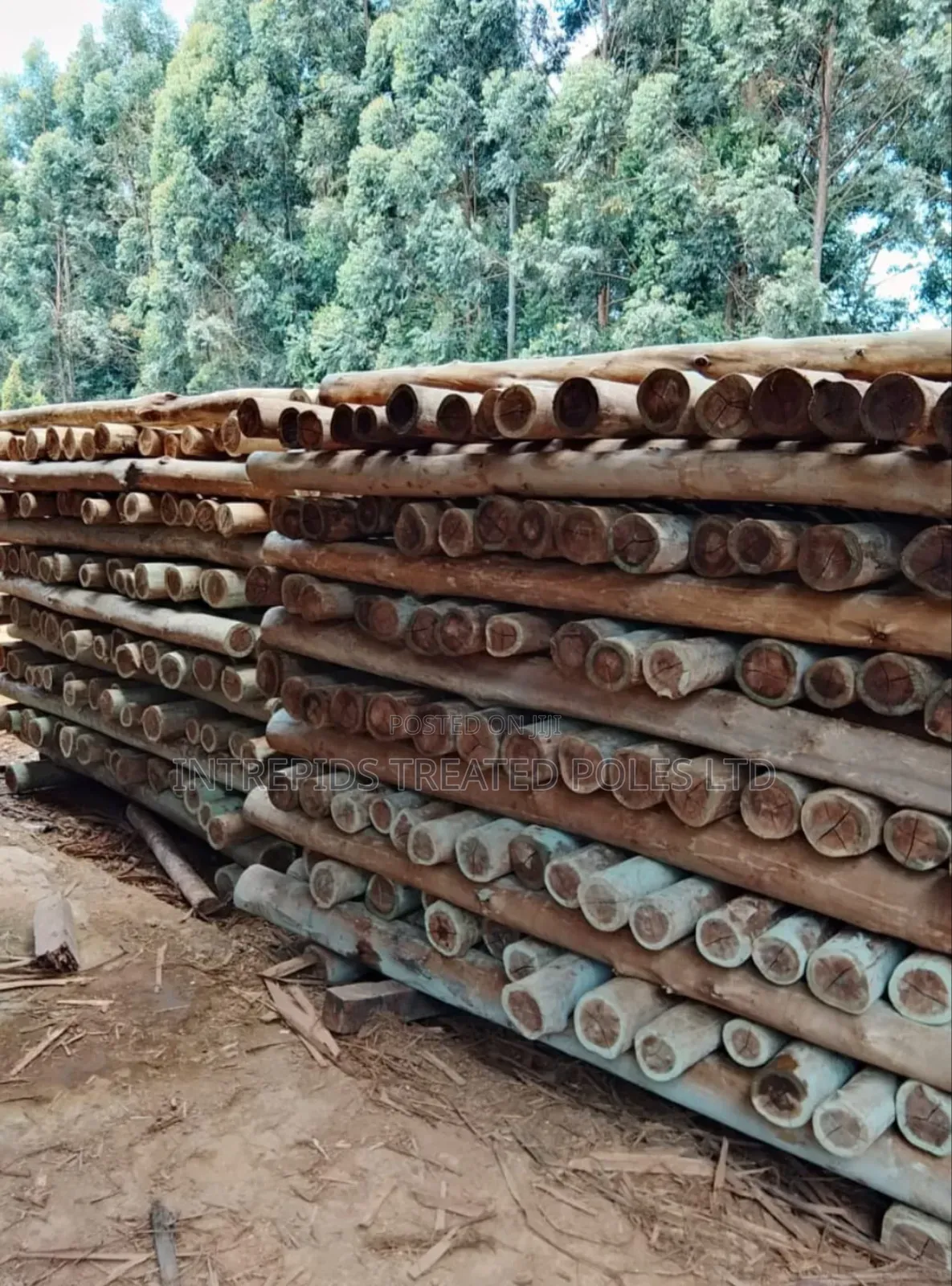 Quality Treated Poles