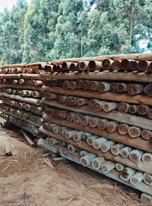Quality Treated Poles