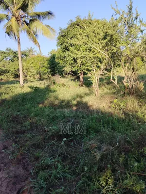 1 Acres Land for Sale in Serene Part of Kwale
