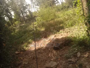 Half an Acre Karen Galleria 1⁄4 Plot on Sale