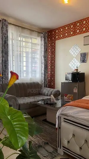 Tastefully Furnished Studio in South B