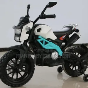 Junior Racer Electric Motorcycle/Motorbikes