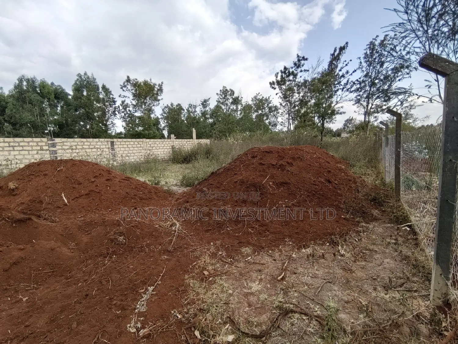 50x100 Plot for Sale in Gikambura Kikuyu Kiambu County.