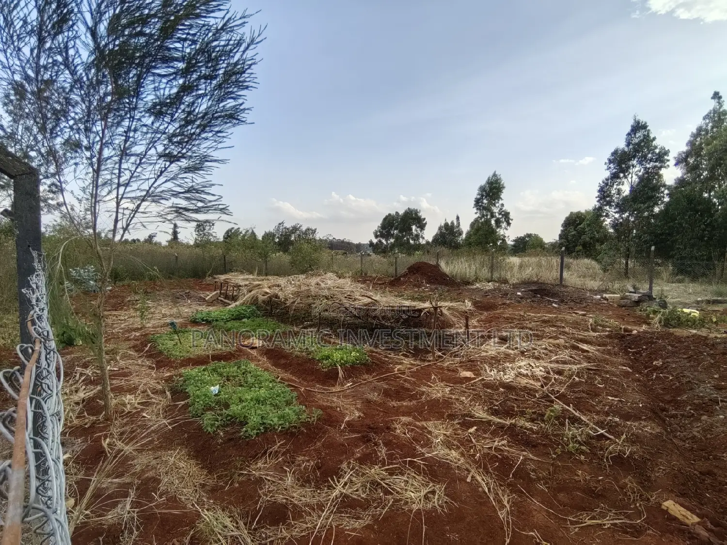 50x100 Plot for Sale in Gikambura Kikuyu Kiambu County.