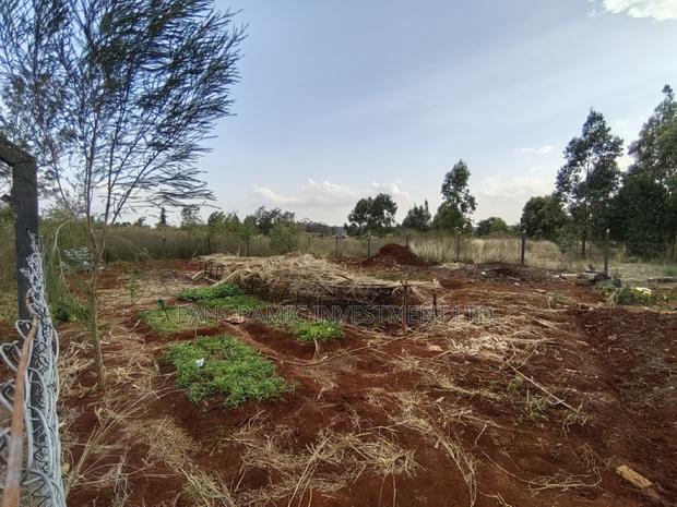 50x100 Plot for Sale in Gikambura Kikuyu Kiambu County. - thumbnail 5