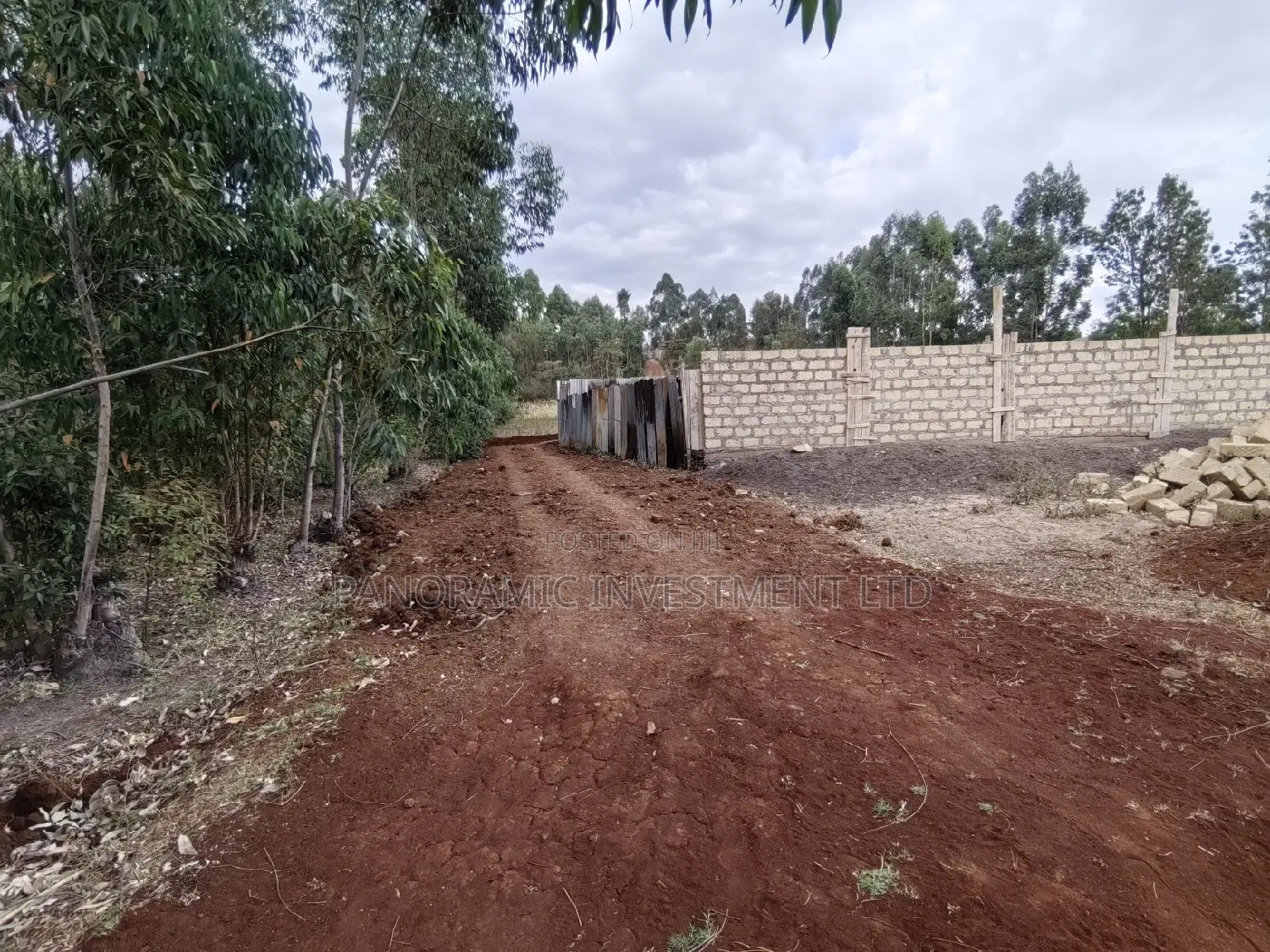 50x100 Plot for Sale in Gikambura Kikuyu Kiambu County.