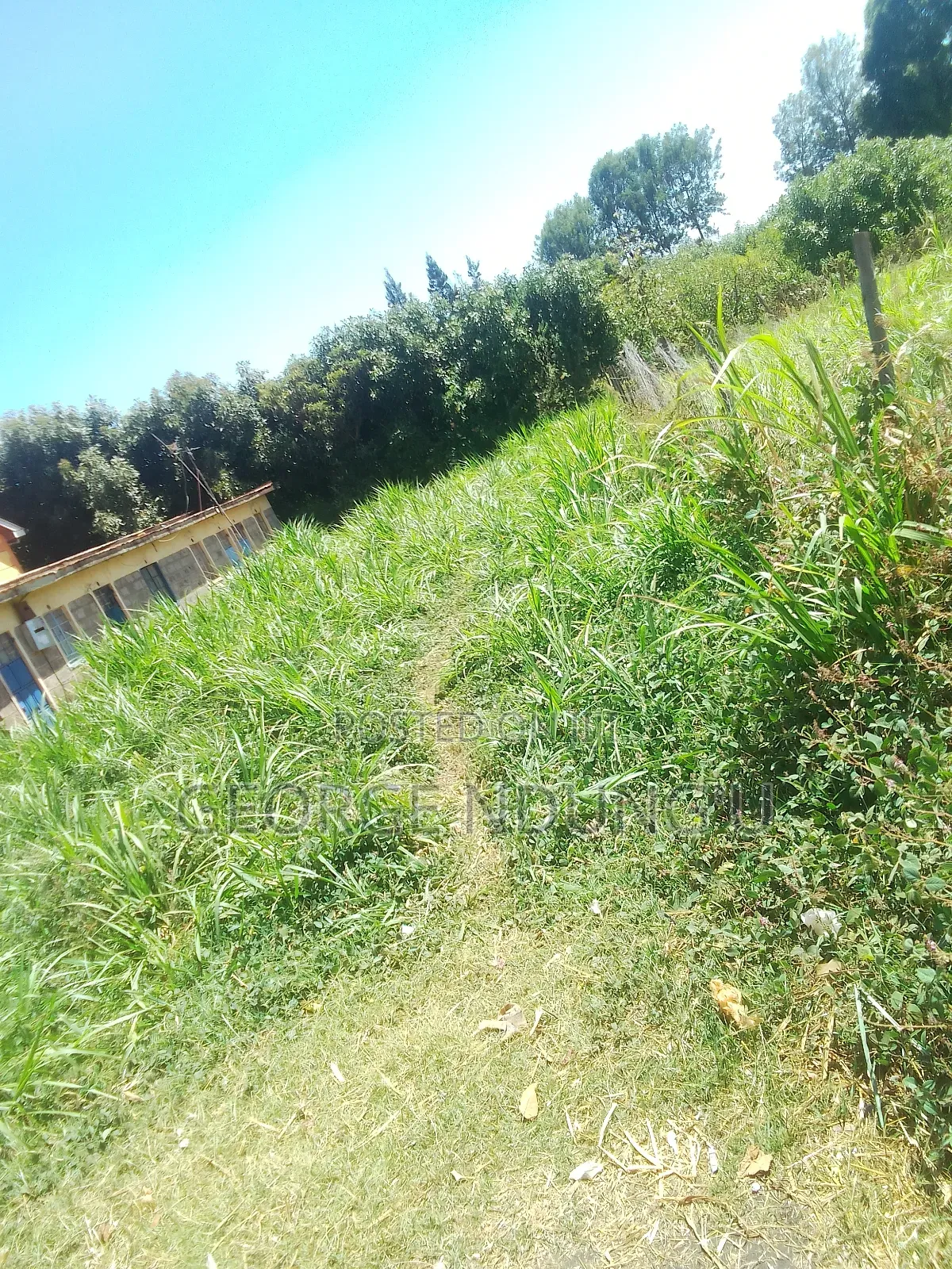 40×100 Plot of Land in Githunguri Town.