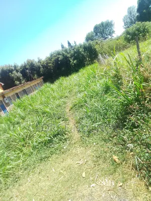 40×100 Plot of Land in Githunguri Town.