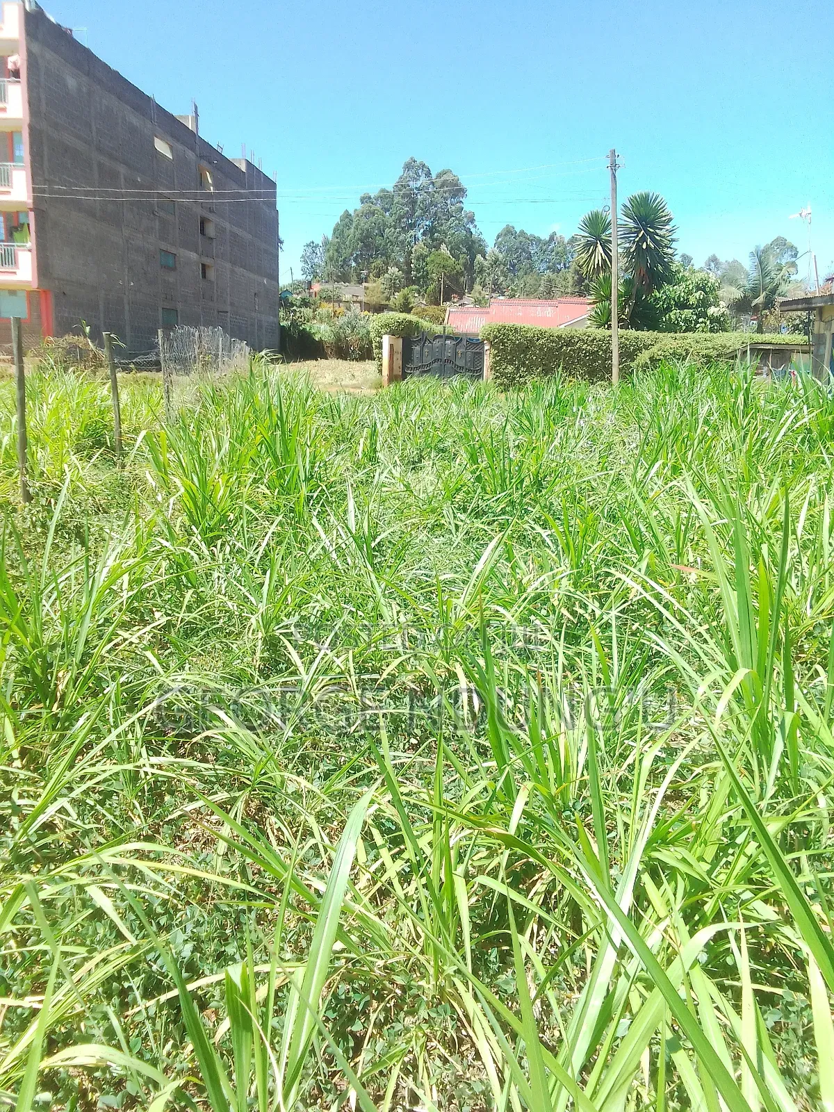 40×100 Plot of Land in Githunguri Town.