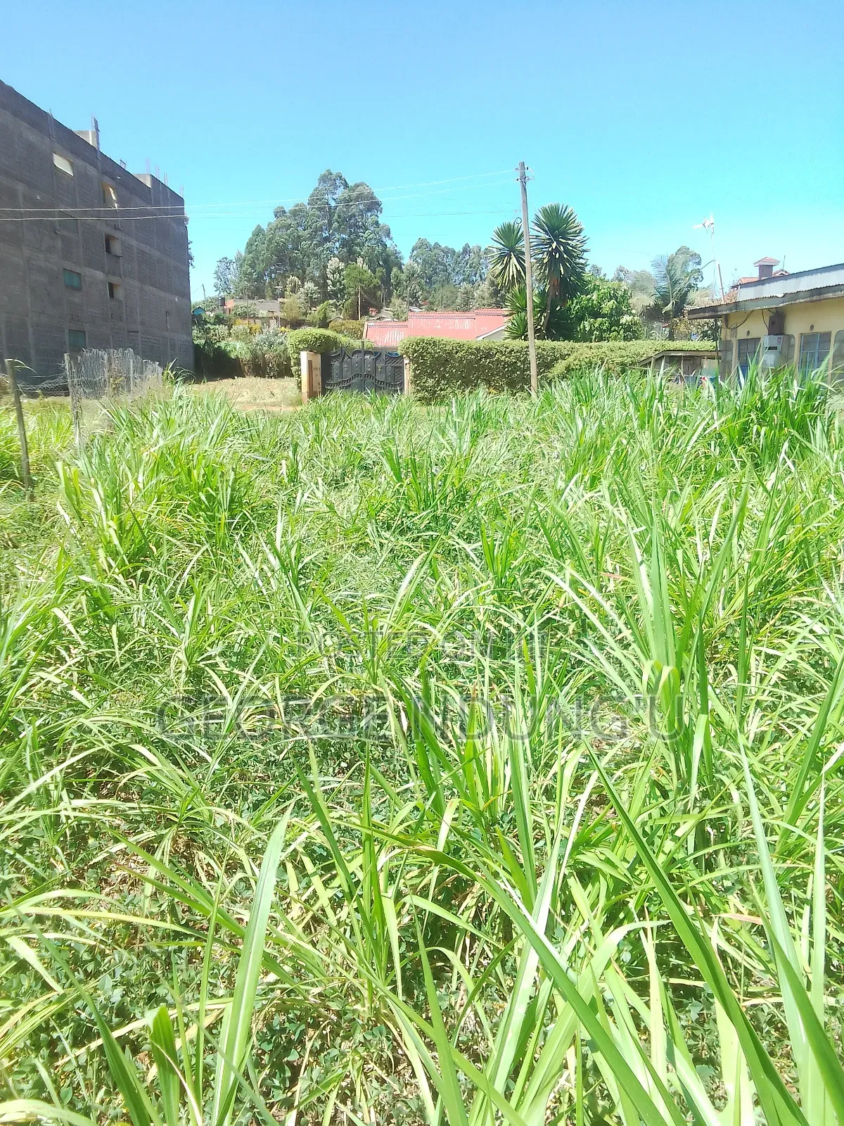 40×100 Plot of Land in Githunguri Town.