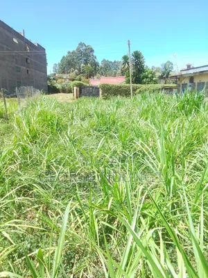 40×100 Plot of Land in Githunguri Town.