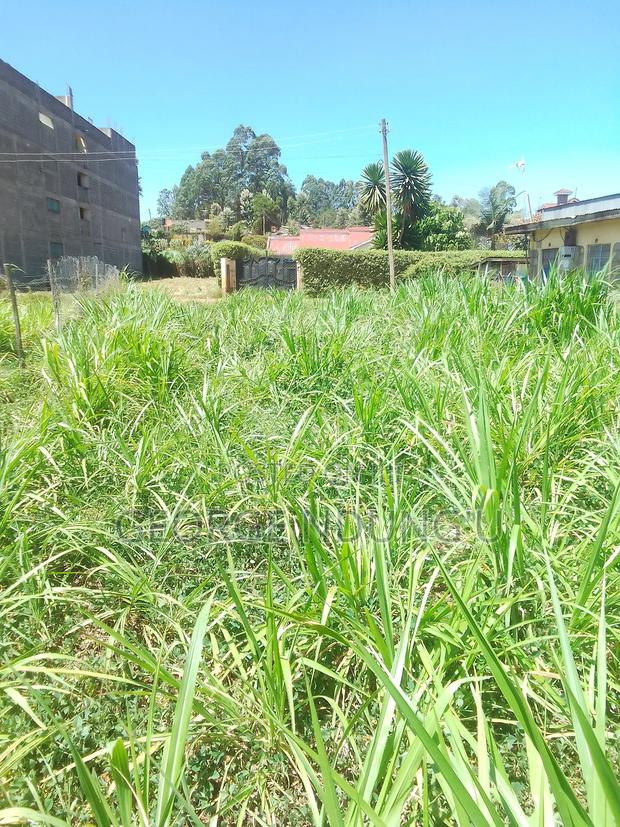 40×100 Plot of Land in Githunguri Town. - thumbnail 3