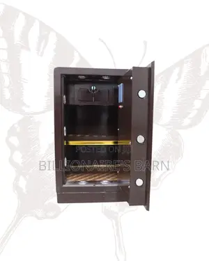 Biometric Safe Box | Serious Security For Documents And Valuables |
