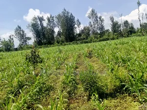Land on Sale Meru County Giaki