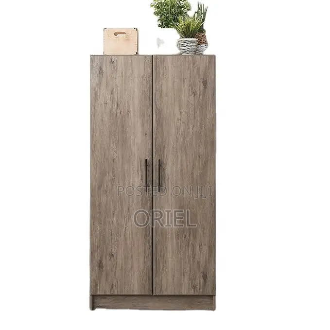 Modern Cabinet : 2-Door Modern Wooden Wardrobe Cabinet