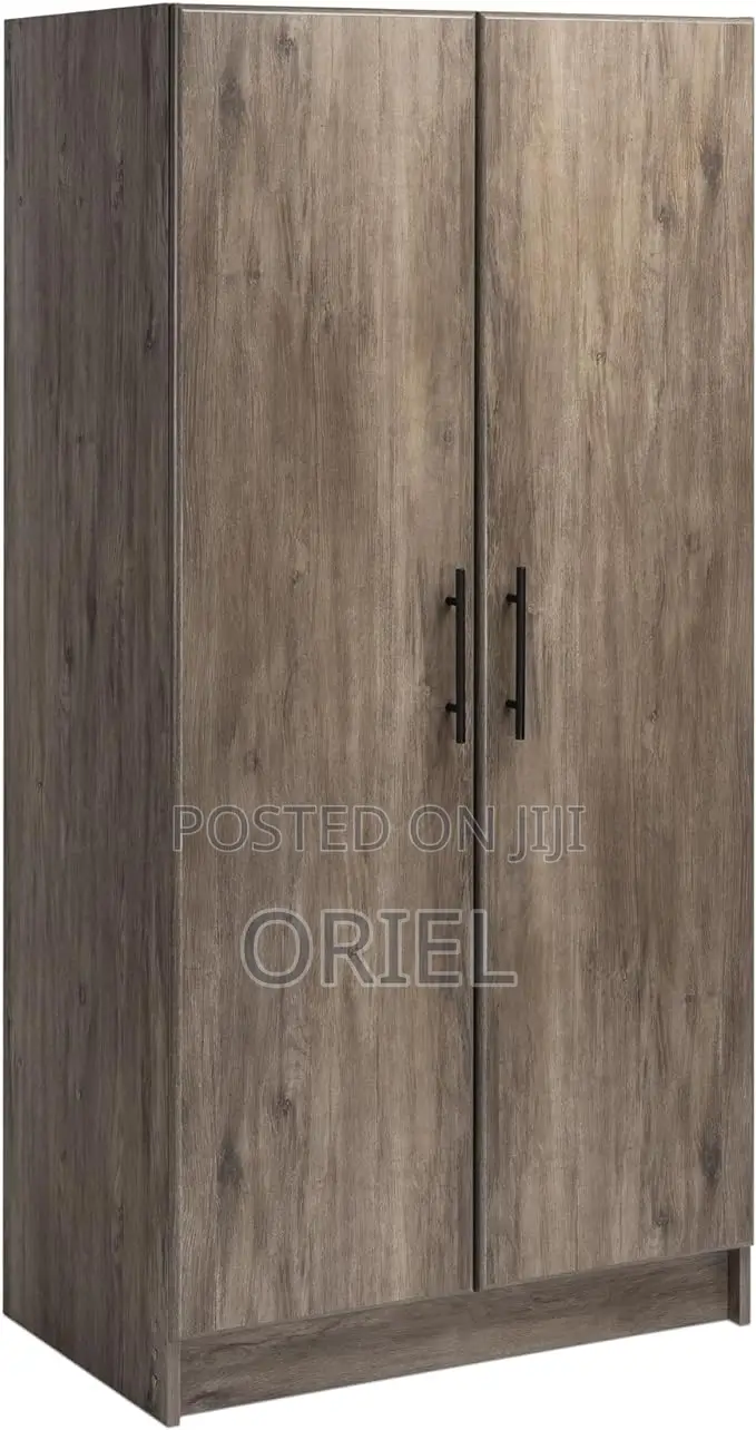 Modern Cabinet : 2-Door Modern Wooden Wardrobe Cabinet