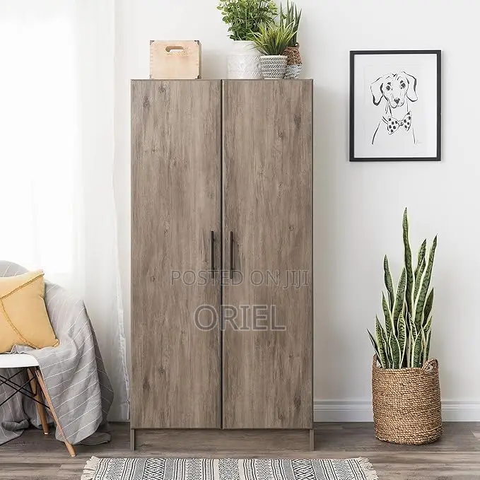 Modern Cabinet : 2-Door Modern Wooden Wardrobe Cabinet