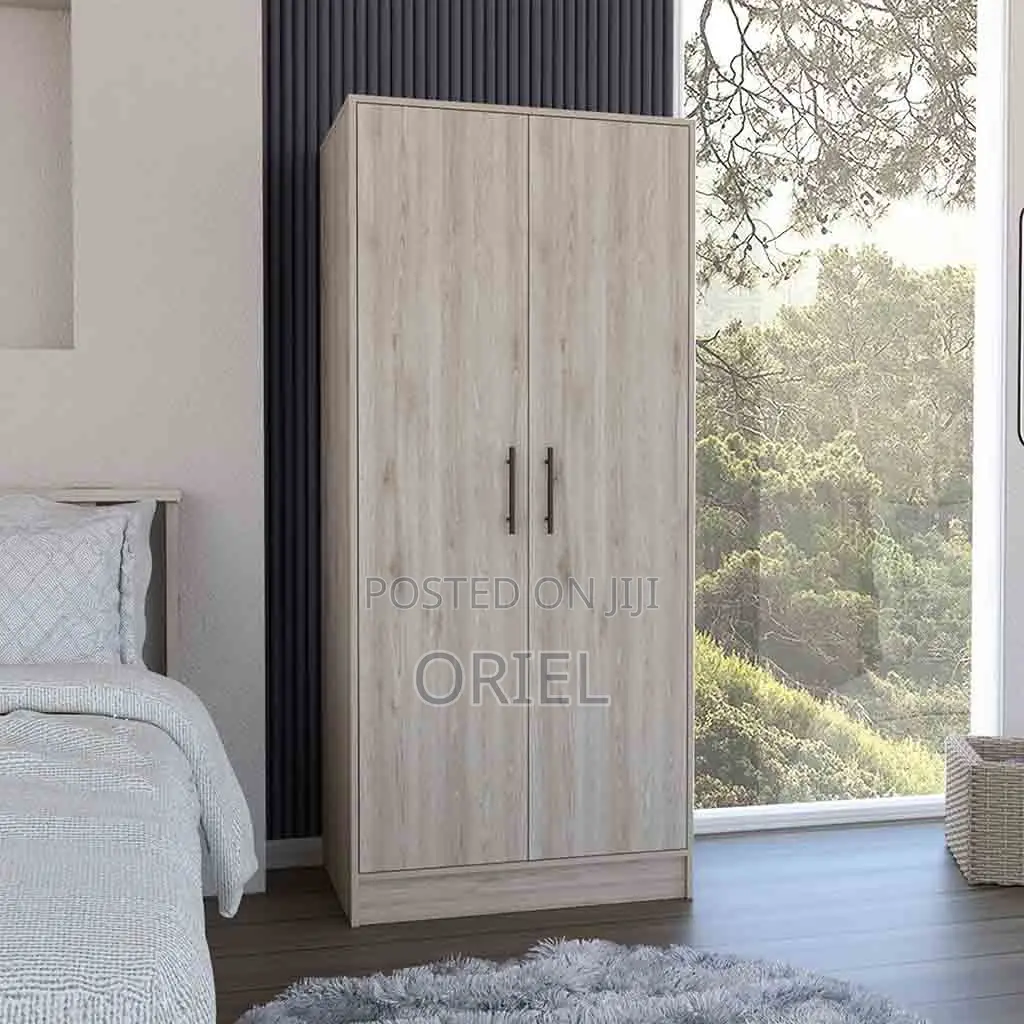 Modern Cabinet : 2-Door Modern Wooden Wardrobe Cabinet