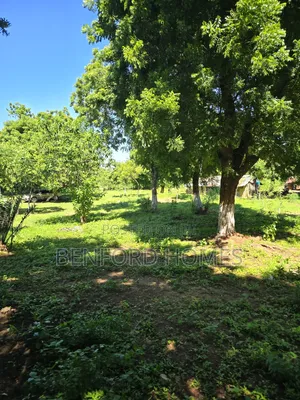 5 Acres of Land on Sale Utange Mombasa