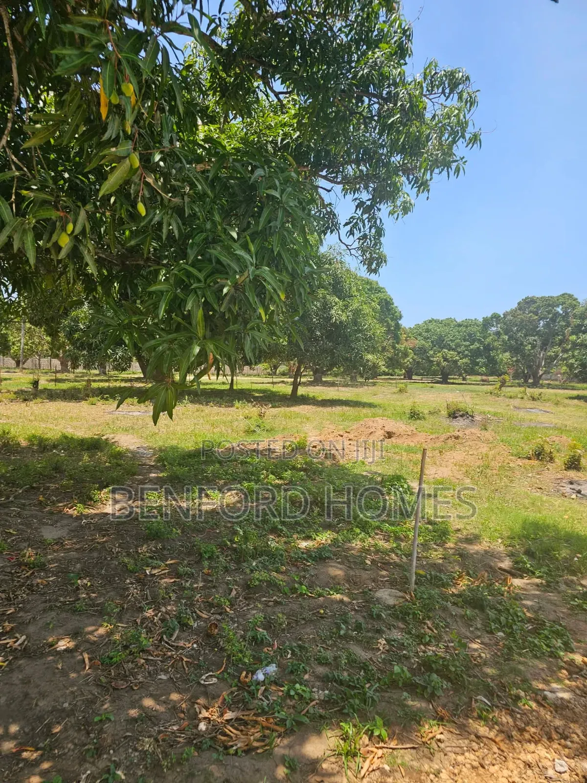 50/100 Prime Plots on Sale Kikambala for Premier Homes