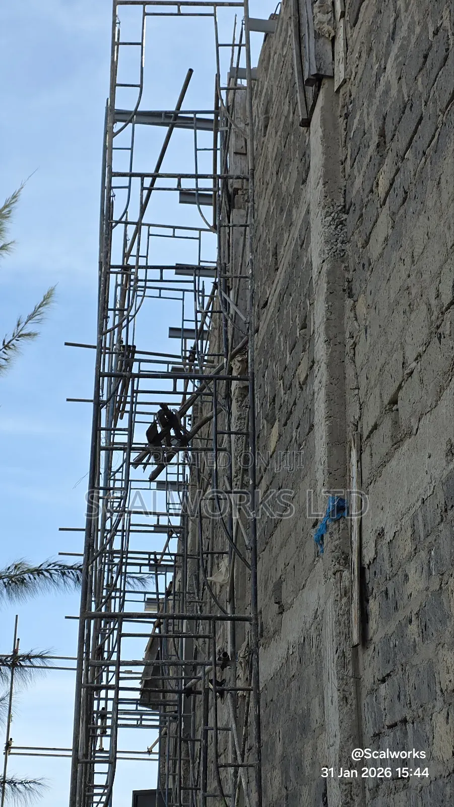 Level Up Your Project With High Quality Scaffolds