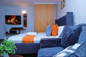 Magnificently Furnished Studio in South B