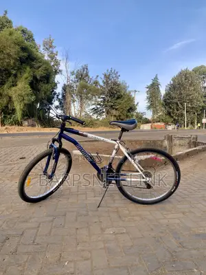 Size 26 Bicycle
