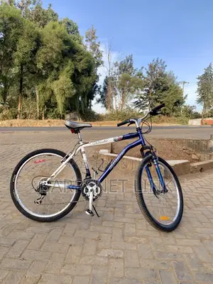 Size 26 Bicycle