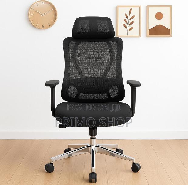 Office Chair : Ergonomic High-Back Mesh Office Chair - main view